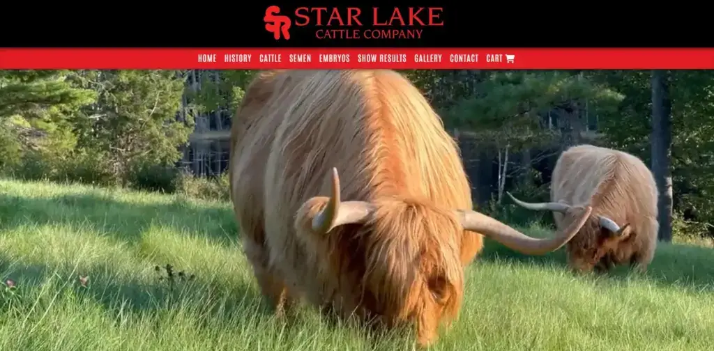 The homepage of the Star Lake Cattle Company website